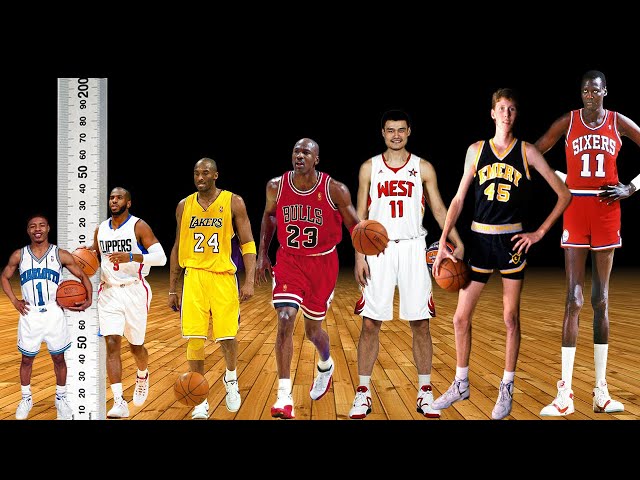Muggsy Bogues Height Comparison