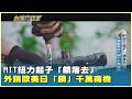 MIT扭力起子「鎖落去」  外銷歐美日「鎖」千萬商機 20261003【台灣向錢衝】 PART 5