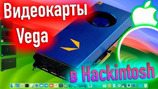 Amd Radeon Rx Vega 64 8Gb|Vega Frontier Edition 16Gb|Macos 14! Hackintosh - Alexey Boronenkov | 4K