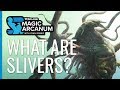 What are slivers  magic arcanum