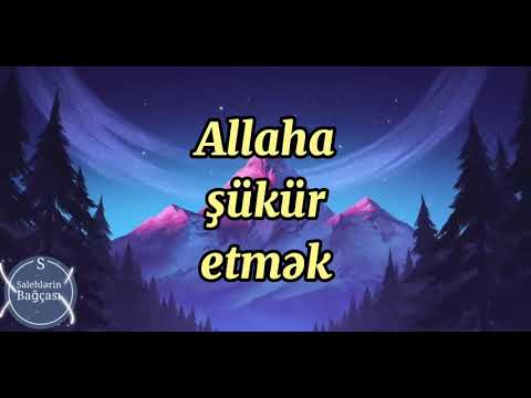 Allaha şükür etmək