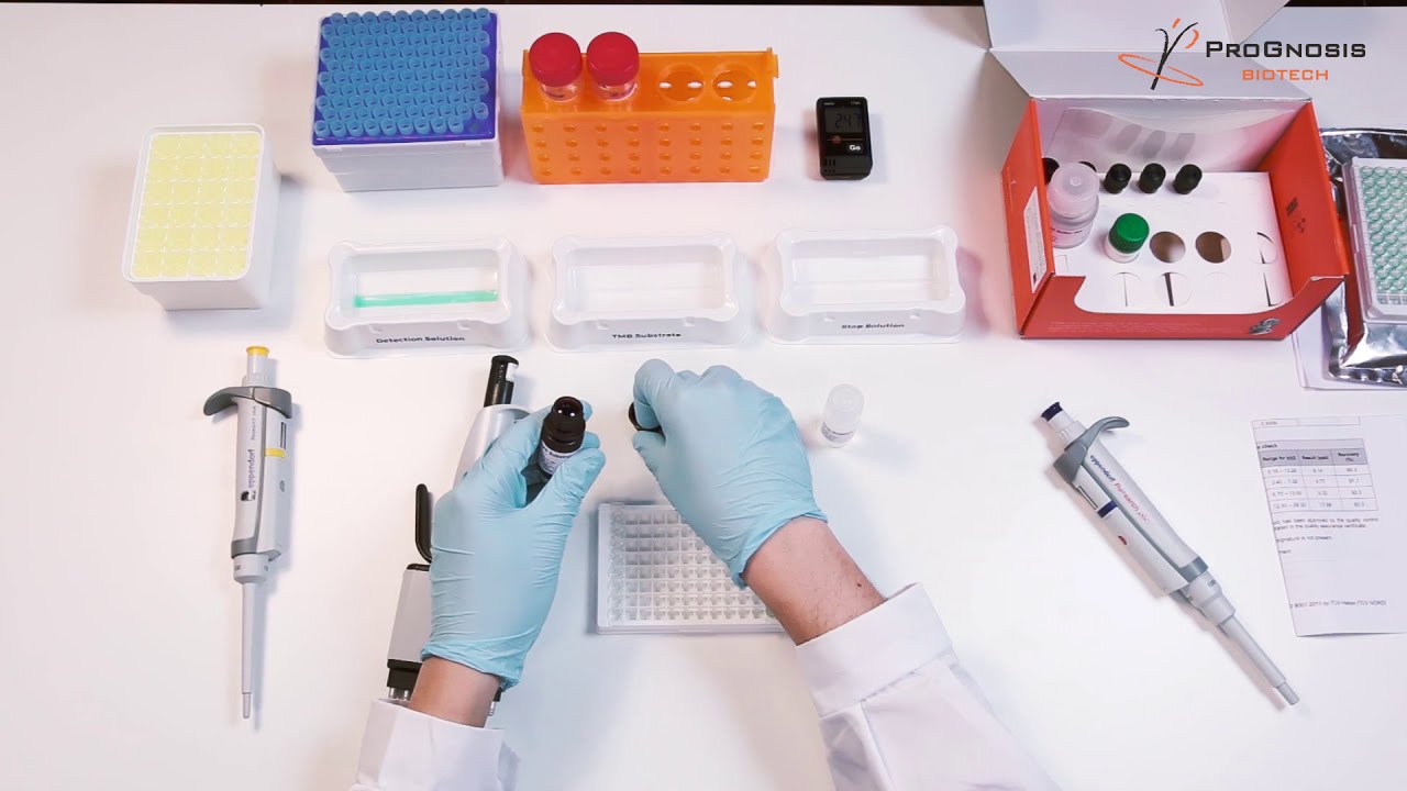 BioShield Total Aflatoxin 5 ELISA Test YouTube