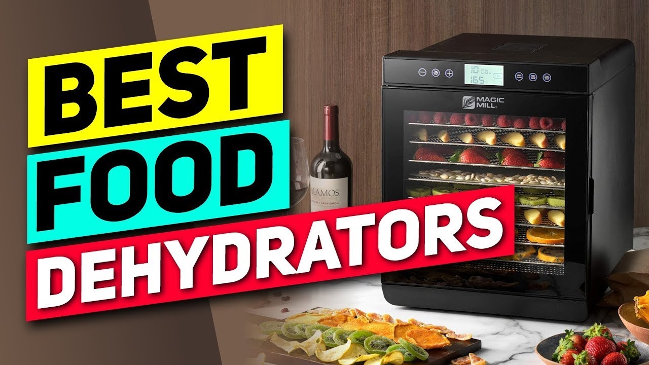 11 Best Food Dehydrators of 2024 {+Buying Guide}