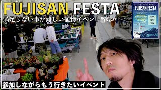 【FUJISAN FESTA】富士山スグソコ静岡の植物イベントはとんでもなく最高のイベントだった｜アガベ｜パキポディウム｜サボテン｜塊根植物｜多肉植物