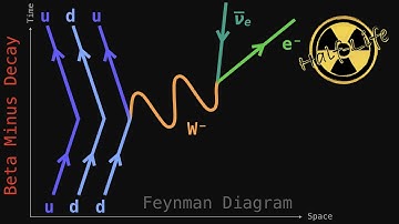 Feynman Diagrams: Beta Decay Equations  [Half-life, video 03]