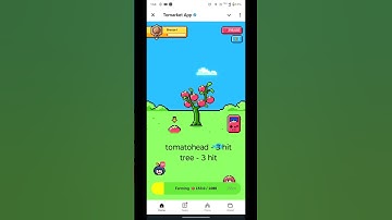 Tomarket Secret Daily Combo 12 October | unlock today