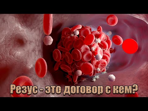 Экстренный выпуск. Группа крови и душа. Как соединить?