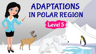 Polar Regions For Kids | Science | Grade 4 & 5 | TutWay