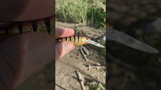 Crankbait Tuning Hook Adjustment How-To