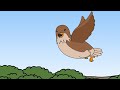 Middle of video