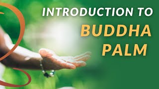 Introduction to Buddha Palm | Activate Healing Energy in Your Hands