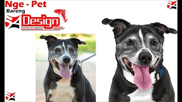 Tutorial Vector Pet Bikin Bulu macam begini dengan CorelDraw