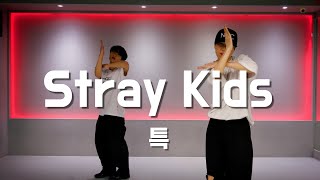 건대댄스 | 샤샤T | Stray Kids - 특