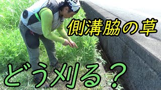 側溝脇の草、草を落とさず刈るにはどうする