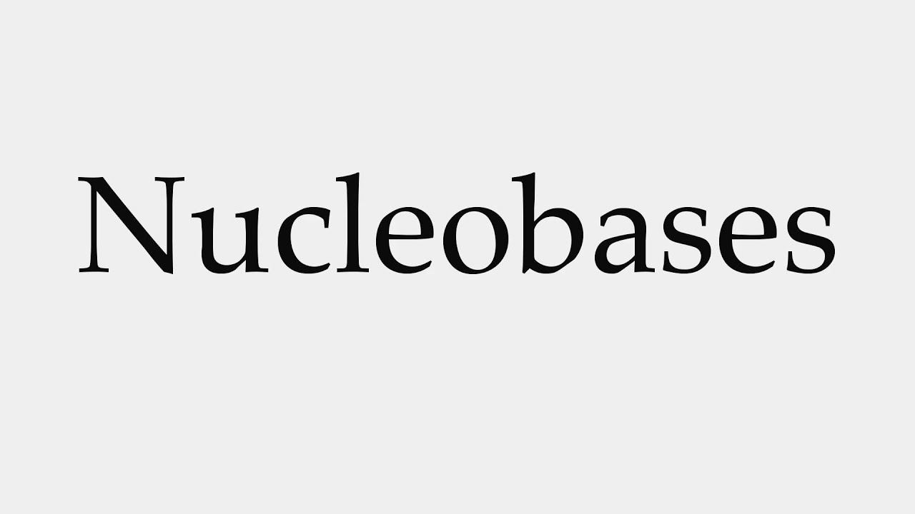 How to Pronounce Nucleobases