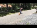 Winston Part 1: Board and Train Winston Part 1: Board and Train