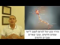 כושר גופני למוח - כיצד מחזקים את מערכת העצבים? ד"ר שמי שגיב כירופרקט