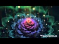 4 hours healing frequencies full album  binaural beats and isochronic tones