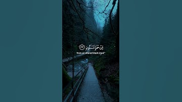 أكتب شيء تؤجر عليه 🤍😴 #هزاع_البلوشي #الحجر #تلاوة_هادئة #حالات_واتس #هدوء #سكينة #راحة_نفسية