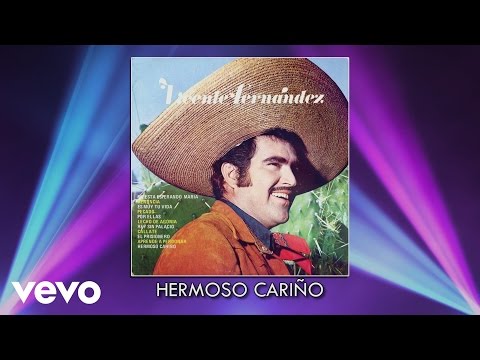 Vicente Fernández - Hermoso Cariño (Audio)