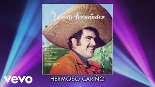 Vicente Fernández - Hermoso Cariño (Audio) chords