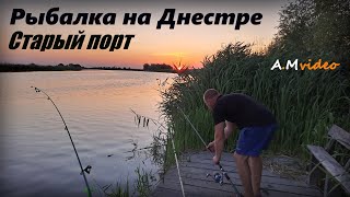 Рыбалка на Днестре в старом порту  21.07.2023.