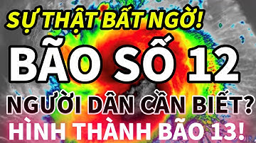 KHẨN CẤP! BÃO SỐ 12 – 13 NỐI GÓT! BIỂN ĐÔNG DẬY SÓNG ĐÊM NAY– CẢNH BÁO THIÊN TAI LIÊN HOÀN!