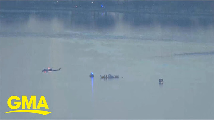 Eyewitness describes seeing deadly mid-air plane collision over DC
