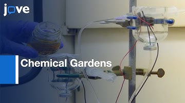 Chemical Gardens As Flow-Through Reactors Simulating Natural Hydrothermal Systems l Protocol Preview