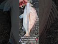 Drone Fishing Social Distancing 🤣. East Auckland, NZ