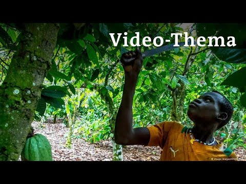 Deutsch lernen mit Videos | Süße Schokolade – bitterer Nachgeschmack | mit deutschen Untertiteln