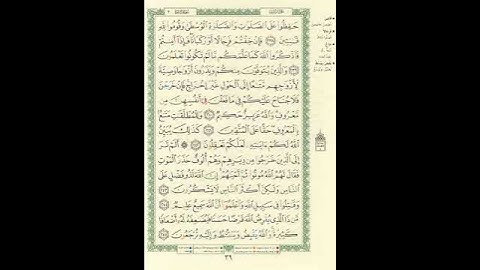 المصحف المرتل برواية حفص عن عاصم الصفحة رقم 39 #القرآن_الكريم # #اكسبلور #المصحف #تيك_توك