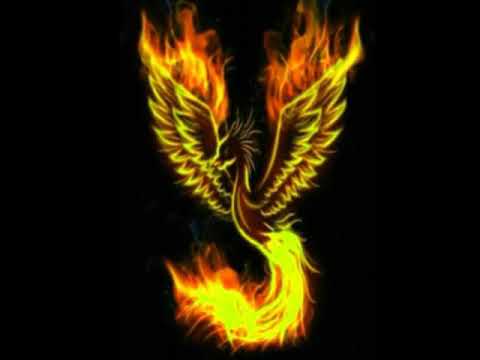 Download 950 Koleksi Gambar Garuda Warna Warni Keren HD