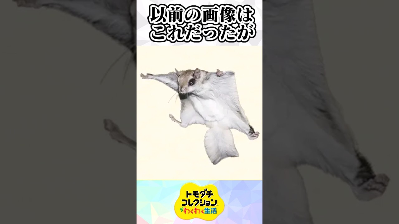 細か過ぎて気付けない⁉︎アプデでまさかの〇〇が修正‼︎【トモコレわくわく生活】#トモコレ #トモダチコレクション #ゆっくり解説