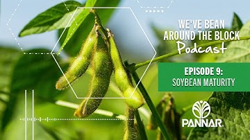 Episode 9: Soybean Maturity