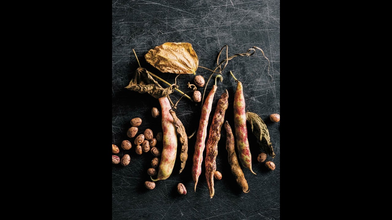 Episode 46: What A Long, Strange Trip It’s Bean