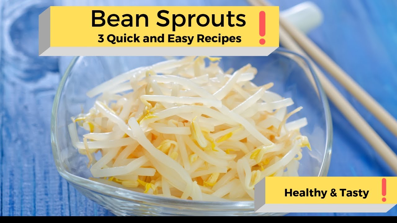 Bean Sprouts: 3 QUICK and TASTY recipes. - YouTube