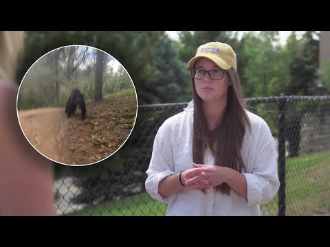 'It was circling around me': Jeffco's Apex Park closed due to aggressive bear