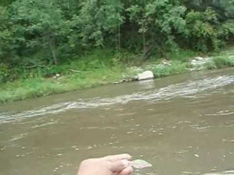 Спиннинг, голавль, <b>воблеры</b>. Booby 50 и <b>Red Rag</b> - YouTube