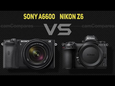 Sony A6600 vs Nikon Z6  [Camera Battle]