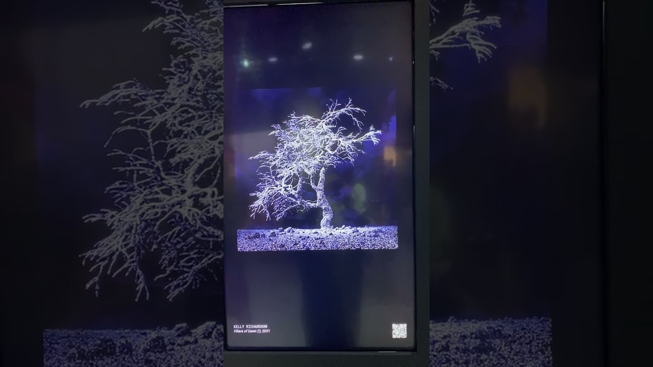 Kelly Richardson　Pillars of Dawn Pillars of Dawn by Kelly Richardson - YouTube