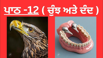 4TH CLASS EVS LESSON-12( ਚੁੰਝ ਅਤੇ ਦੰਦ ) READING, QUESTIONS/ANSWERS