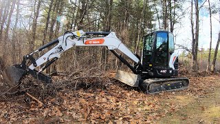 Clearing a Mess of a Backyard