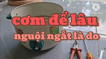 Hướng Dẫn Sửa Nồi Cơm Điện | Thay Điện Trở Hâm Nóng | Nguyên Nhân Cơm Không Giữ Nóng Lâu