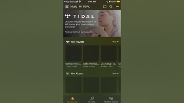 Plex app - Music, TV, Movies & more - APP OVERVIEW & HOW TO USE?