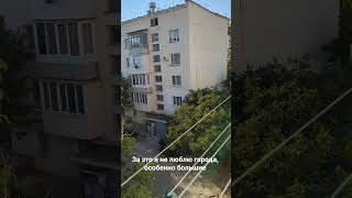 а вам нравится эта городская суета? #мамадома #севастополь #городскаяжизнь #осень2025