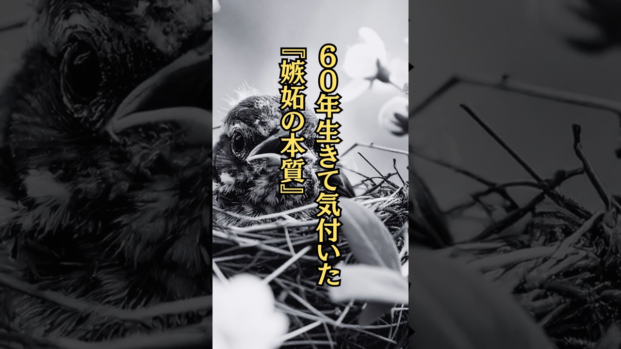 『嫉妬の本質』#名言 #名言集 #心に響く言葉 #いい言葉