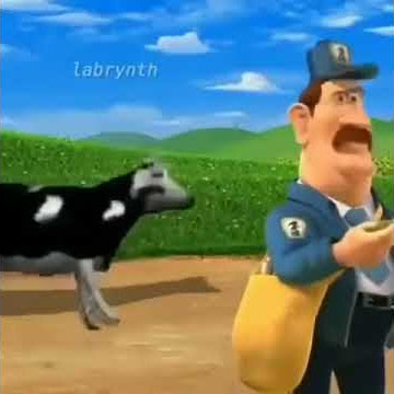Polish Cow Dance Barn Yard meme