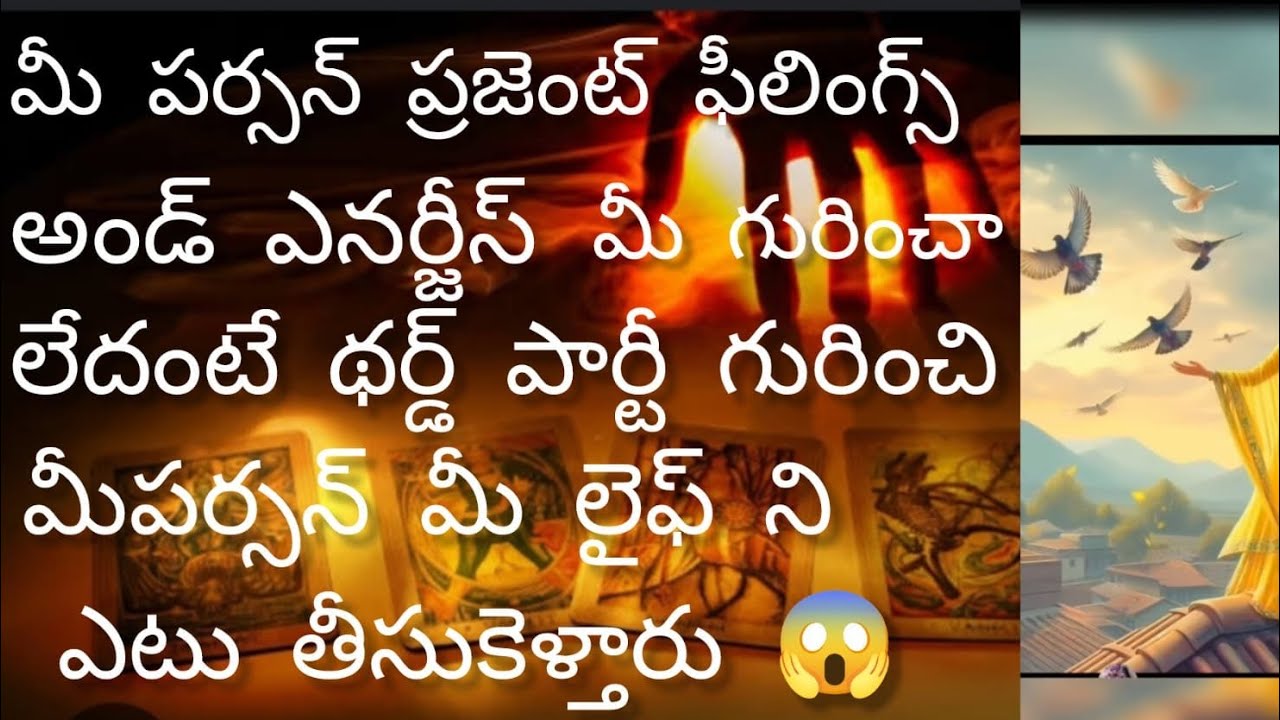 మీపర్సన్ ప్రజెంట్ ఫీలింగ్స్అండ్ ఎనర్జీస్ ఆలోచనలు మీగురించా థర్డ్ పార్టీగురించి లైఫ్ లో ఏంజరుగుతుంది🙏