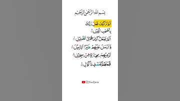 Surah Al-Fil  by YouQaria | learn سورة الفيل  with Tajweed.